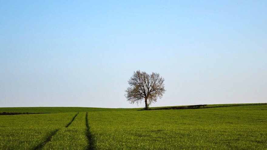 Dodijelit će 234 ha državnog zemljišta u zakup?