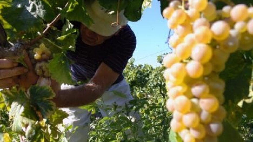 Pobjednik Marko Polo