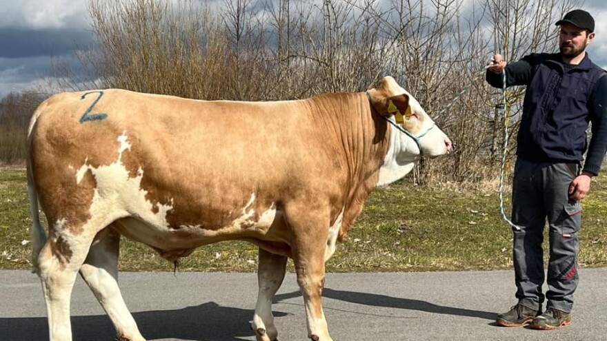 Bik prodat za 144.000 eura