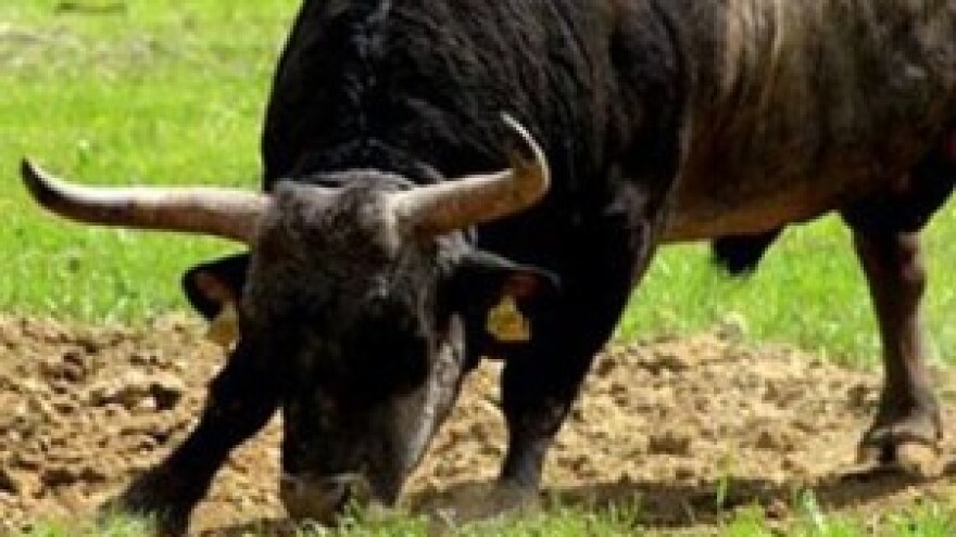 Sabor odobrio domaću koridu