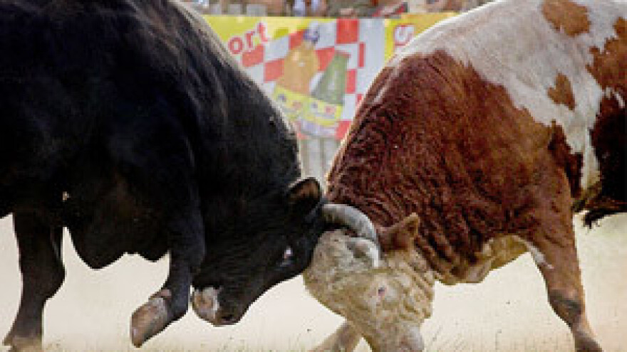 U nedjelju Seoska olimpijada u Radošiću