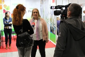 Bosiljčić: Borovnica će doživeti veliki bum