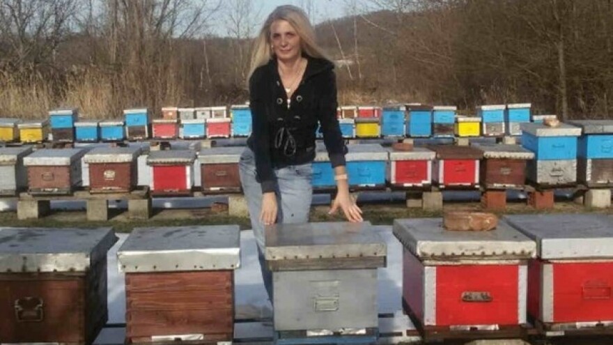 Pčelarstvo kao životno opredeljenje