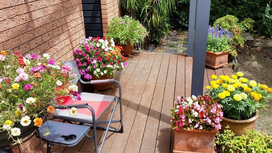 Što uzgajati na južnoj strani balkona ili terase?