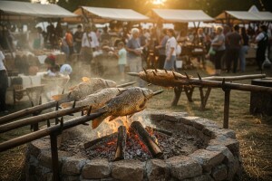 Bilje srušilo sve rekorde