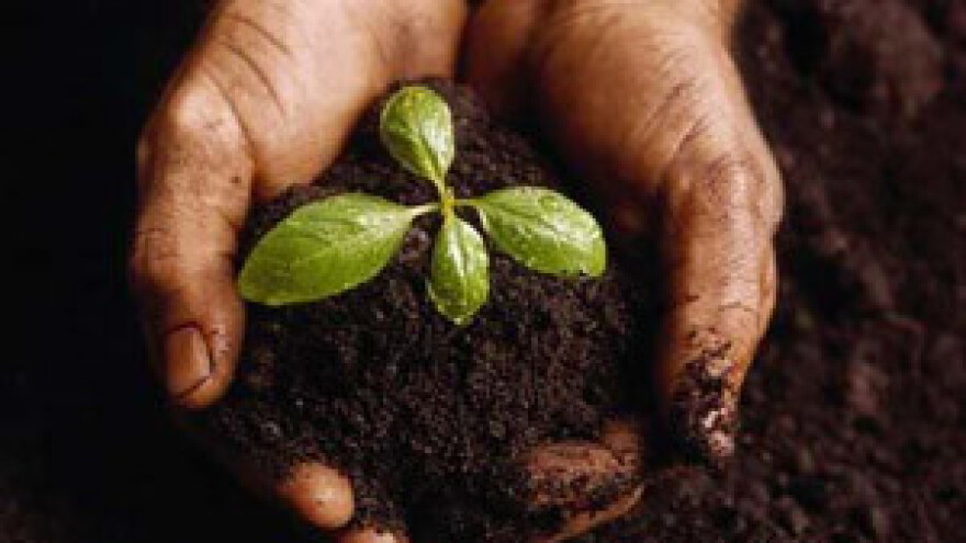 Novi Pravilnik za korisnike sredstava za zaštitu bilja