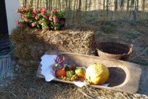 14. Međunarodni etno susreti u Bilju
