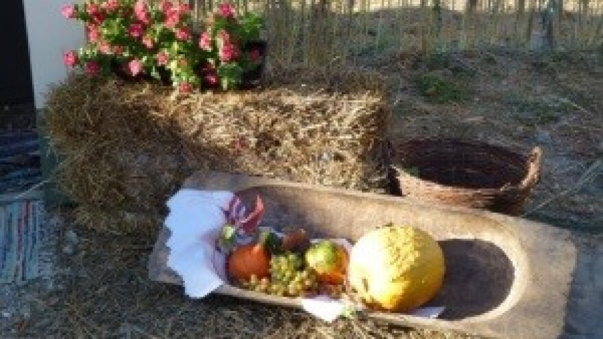 14. Međunarodni etno susreti u Bilju