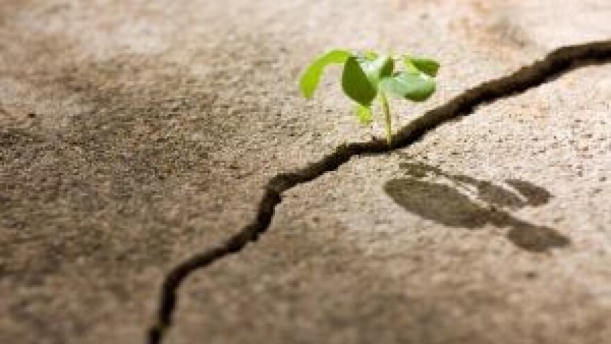 Javni natječaj za razvoj zelenog gospodarstva