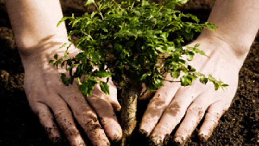 Glucohumat - manjom gnojidbom do većeg prinosa