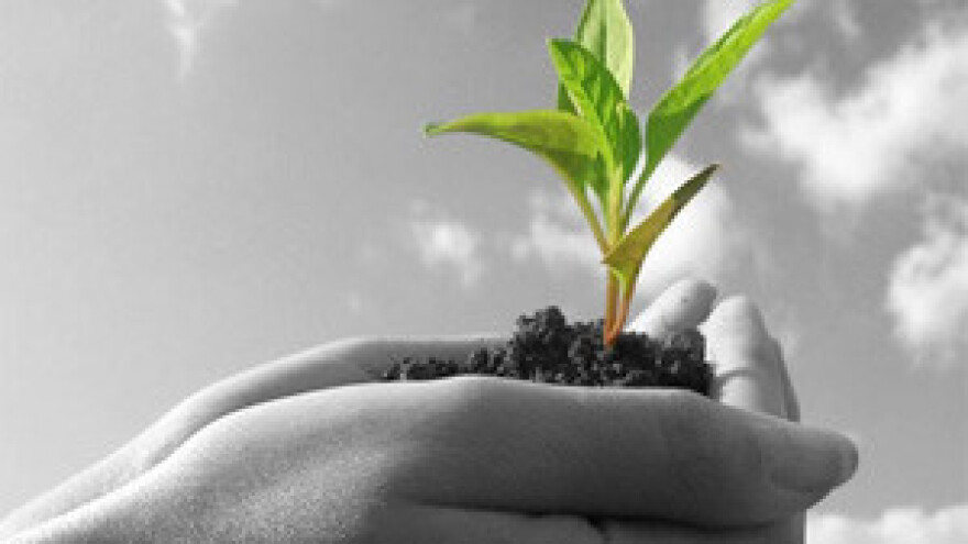 Herbaflex herbicid za suzbijanje korova u žitaricama