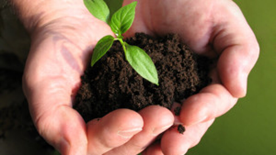 Važnost Sumpora i mikrobiološka aktivnost tla