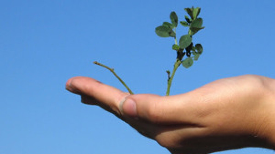 Stručni skup "Hrvatsko oplemenjivanje bilja, sjemenarstvo i rasadničarstvo i europske integracije"