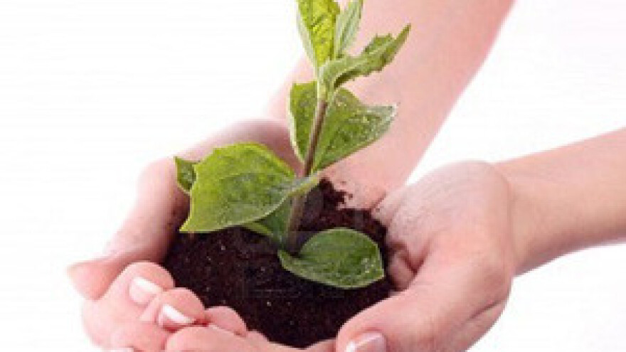 Važnost kemijske analize tla za potrebe gnojidbe