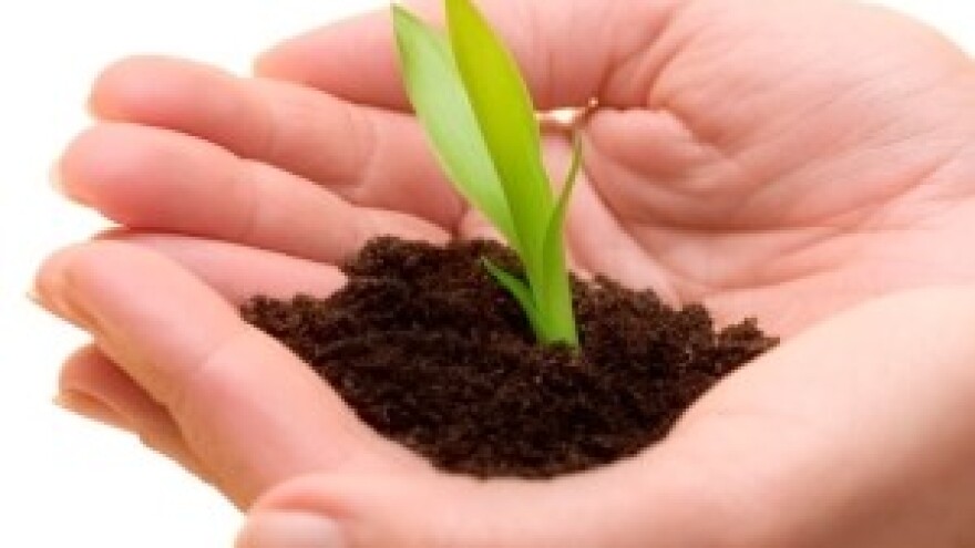 Jakovina otvara Sjemensku štedionicu