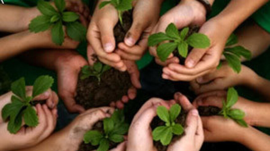 Sumpor skriveni esencijalni element