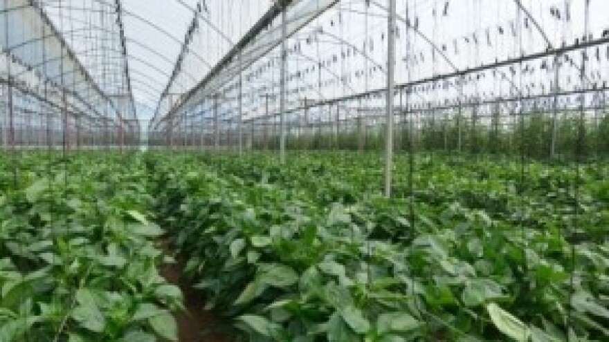 Dodijeljeni ugovori Nacionalne banke biljnih gena