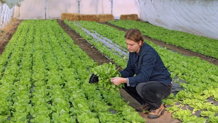 Biljna proizvodnja u nas i dalje dominantna