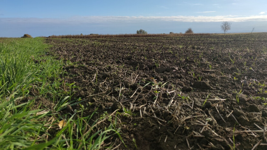 Pet milijuna kuna za poljoprivrednike koji koriste zemljište zaštićeno kao kulturno dobro