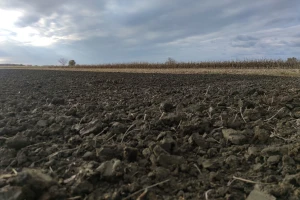 Kazneno prijavljen vlasnik OPG-a - 10 godina primao potpore, a djelatnost nije obavljao?