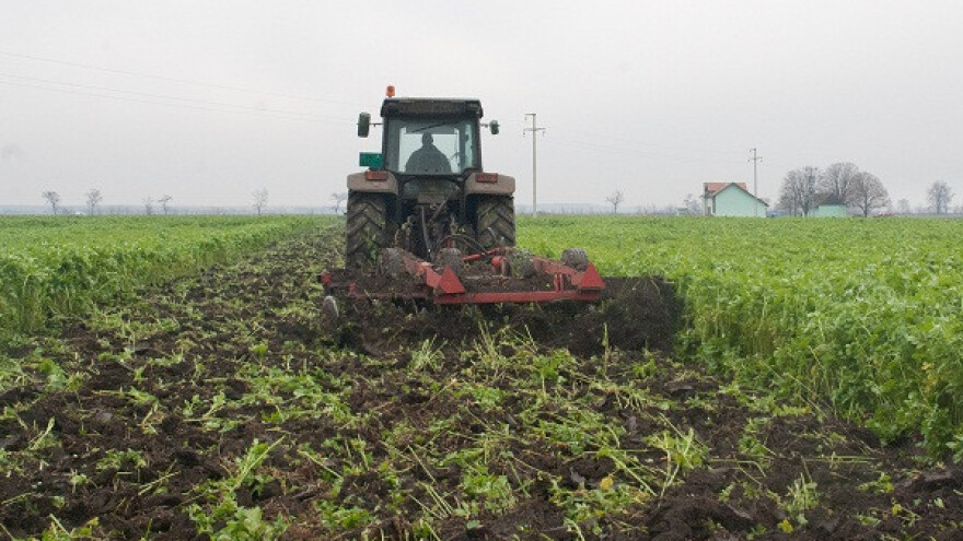 Pokrovni usevi - bogatija zemlja za glavni rod