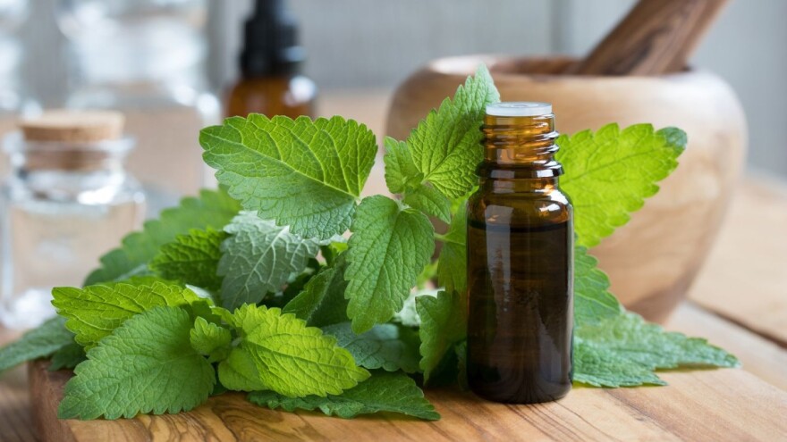 Kako sami da napravite biljna ulja?