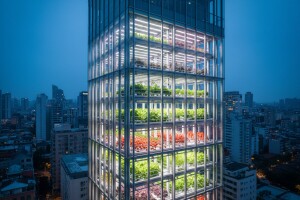 Biljoneboderi - velike plantaže voća i povrća usred metropola