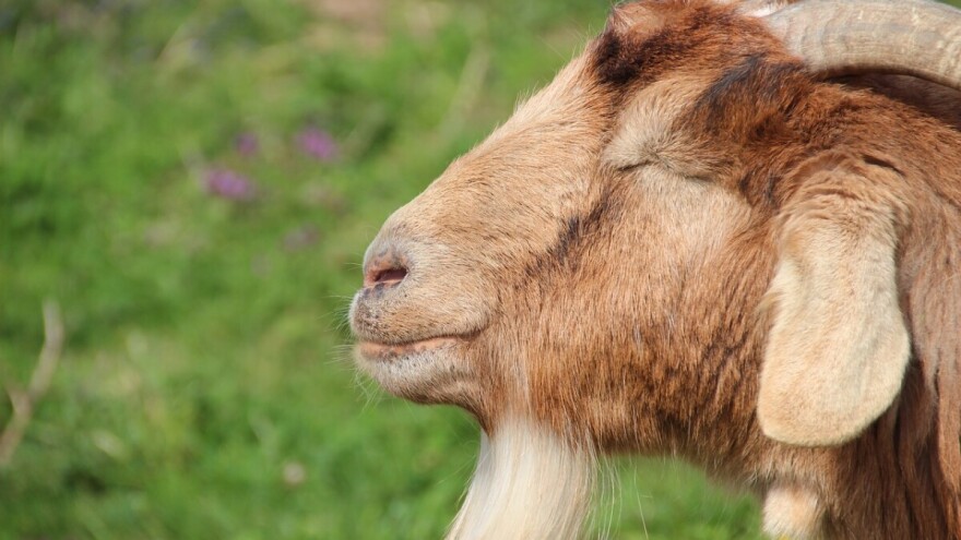 Temperature će skočiti i do 34°C!?