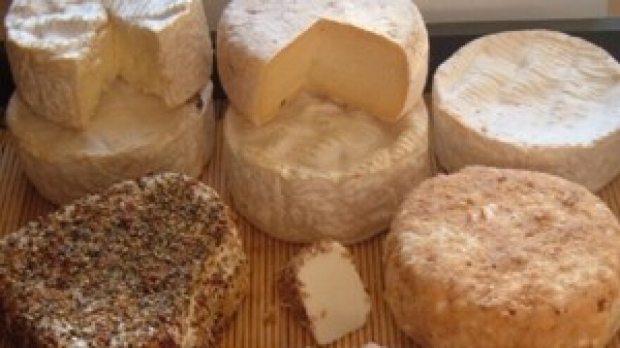 OPZ Bilogorka - proizvodnja kozjeg sira