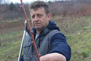 Stara Bingula: Izvoz voća u Rusiju