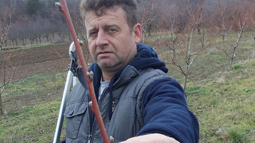 Stara Bingula: Izvoz voća u Rusiju