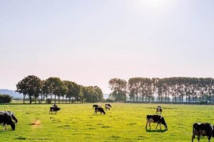 Do sad neviđena stopa gubitka bioraznolikosti - nismo ispunili ni jedan cilj za njenu zaštitu