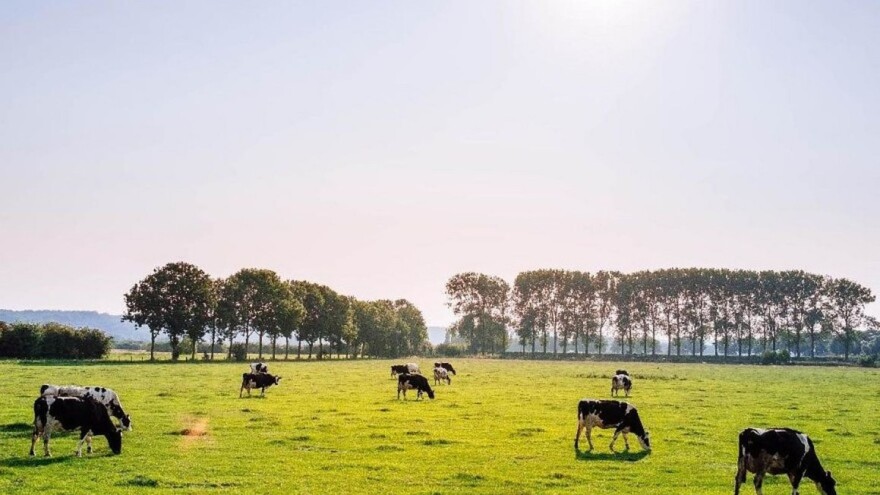 Do sad neviđena stopa gubitka bioraznolikosti - nismo ispunili ni jedan cilj za njenu zaštitu