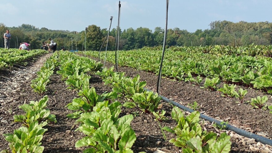 Zatražen sastanak u Ministarstvu, realizacija plana povećanja ekološke proizvodnje je troma