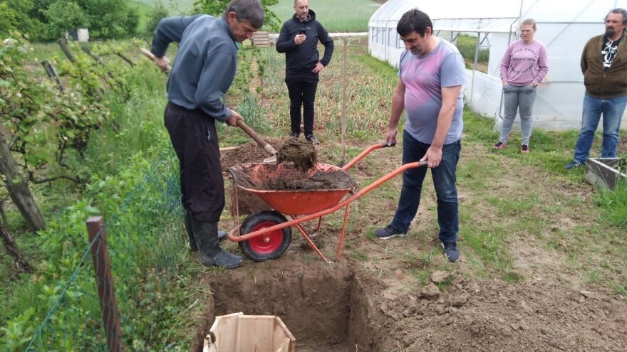 Zakopaj rog punjen balegom, kvarcom, travama i korovima pa pršći biljke i zemlju