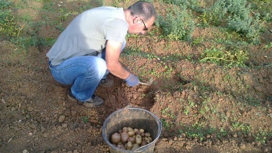 Upotreba biodinamičkih metoda u poljoprivredi