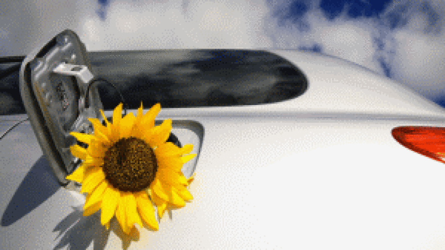 Prijevara No.6 - Proizvodnja goriva iz žitarica namjenjenih prehrani