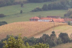 Osnivaju prvi biodistrikt u Srbiji: Šta će to doneti poljoprivrednim proizvođačima?