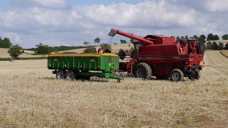 Raste proizvodnja biodizela i uljane repice