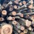 Nezakonitom sječom šume vlasnicu oštetio za oko 20 tisuća eura
