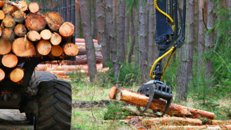 Posao za još 130.000 ljudi - u biogospodarstvu?