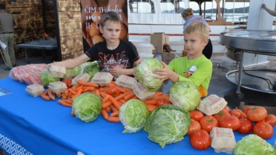 Kraljičak predložio obaveznu nabavu HR proizvoda