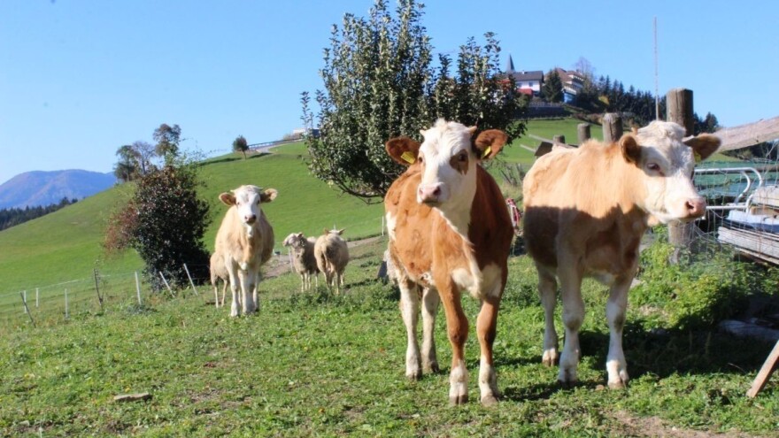 Što će biti sa ZPP-om nakon 2020? Zastupnici ne podržavaju novi model koji predlaže Komisija