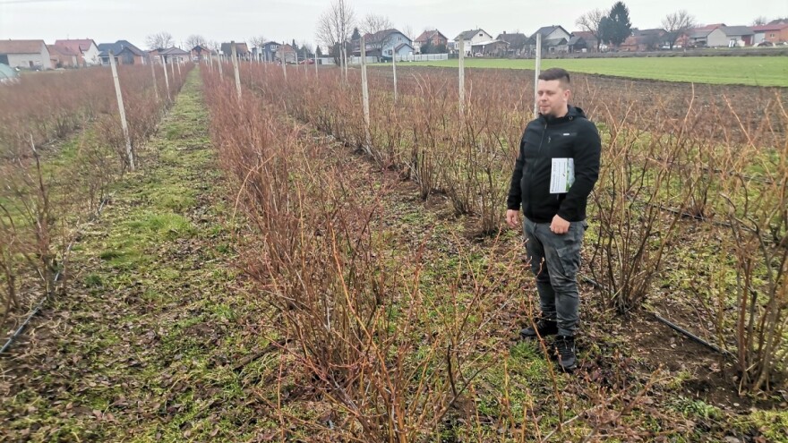 Konvencionalna proizvodnja na eko način? OPG Kuzminski zna kako