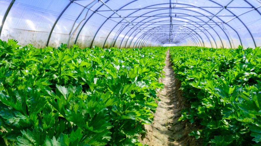 Za Mjeru 10.1.15 koristite odlična Grena gnojiva