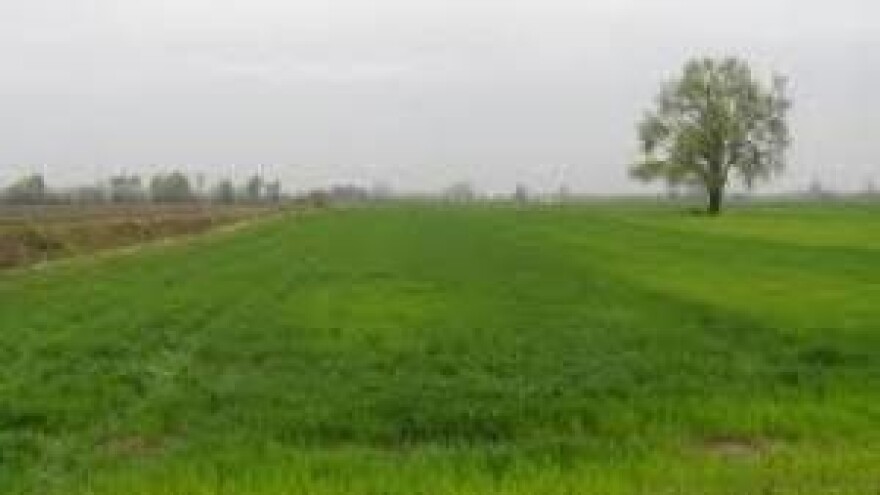 Biomasom do energije