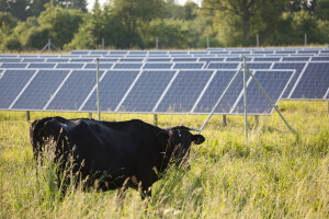200 milijuna kuna za proizvodnju energije, ali i nabavku strojeva za organsku gnojidbu