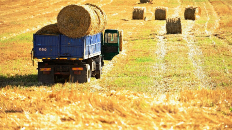 Ogroman potencijal biomase-neiskorišćen!