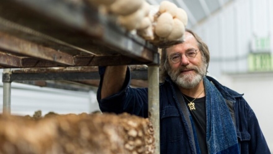 Gljivice će zamijeniti kemijske pesticide?