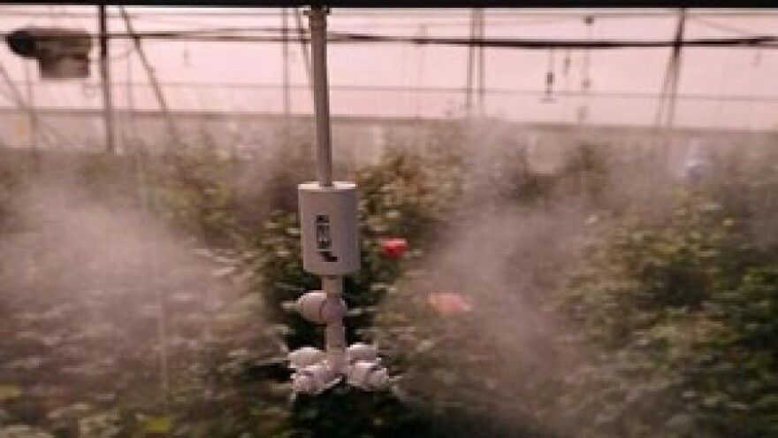 Rasprskivači Netafim